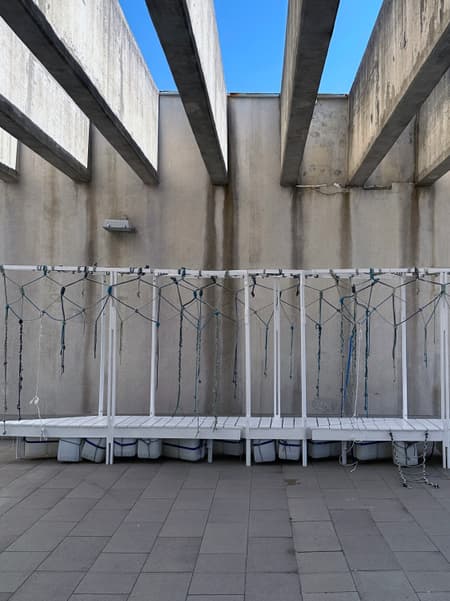 PlivaTri Floating Pavilion